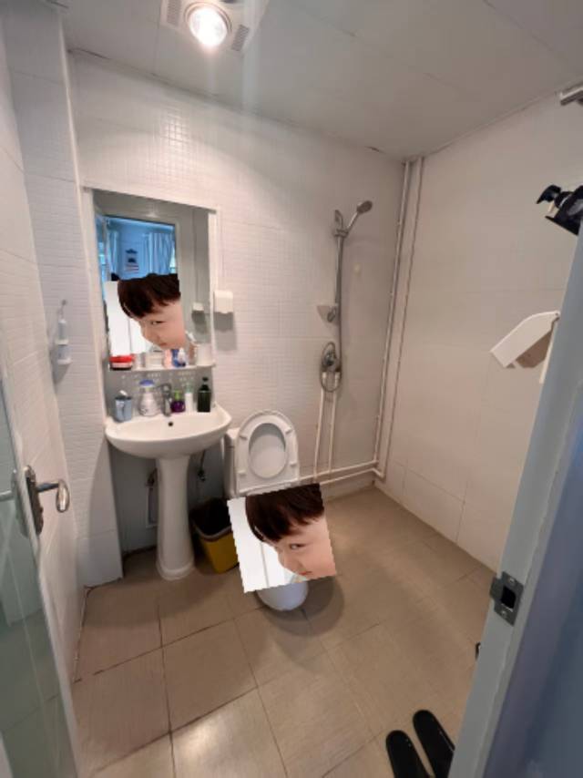 南京 秦淮 | 郁金香花苑_5