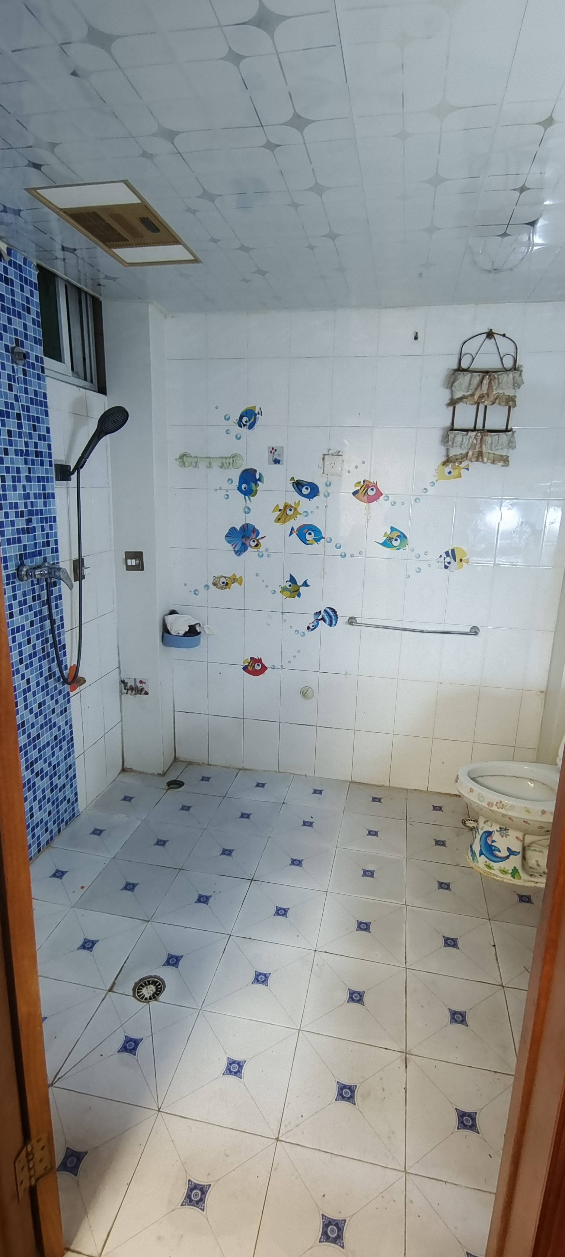 兔子不吃窝边草整租房源2