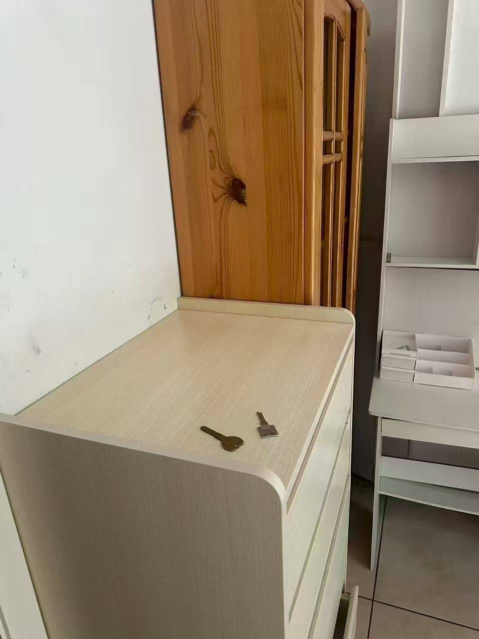 Beijing-Chaoyang-Cozy Home,Clean&Comfy,No Gender Limit,Hustle & Bustle