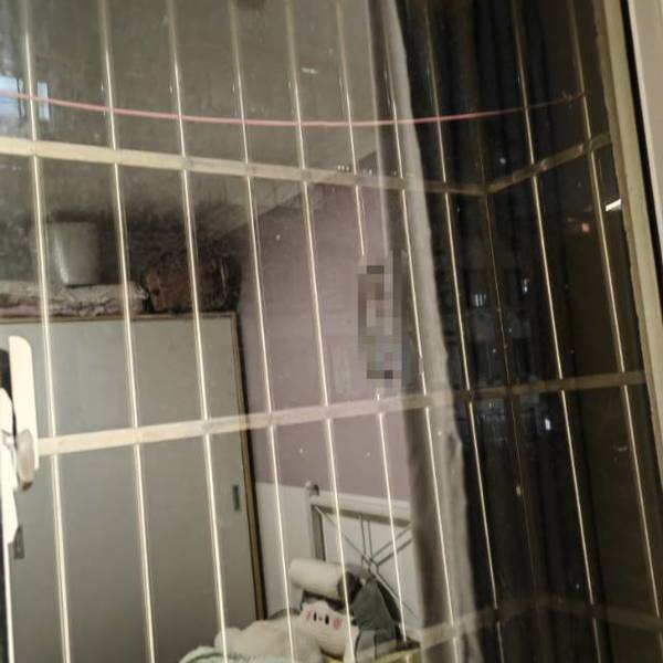 insomnia0125整租房源2