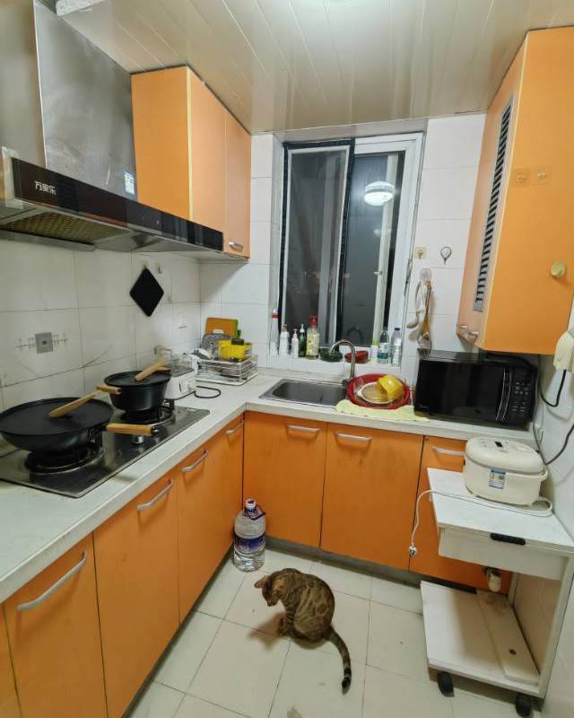 Shanghai Hongkou | 平型关路669弄_3