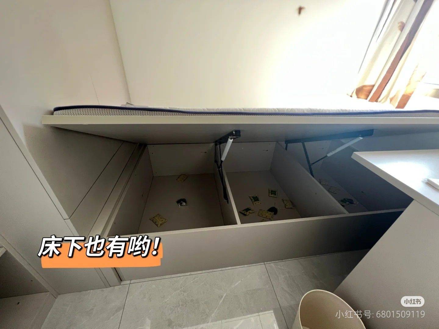 Beijing-Chaoyang-No Gender Limit