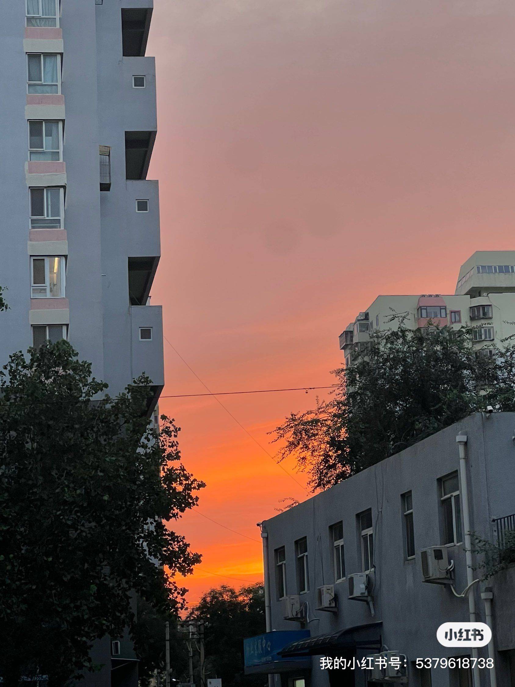 北京 朝阳 | 芍药居北区_7