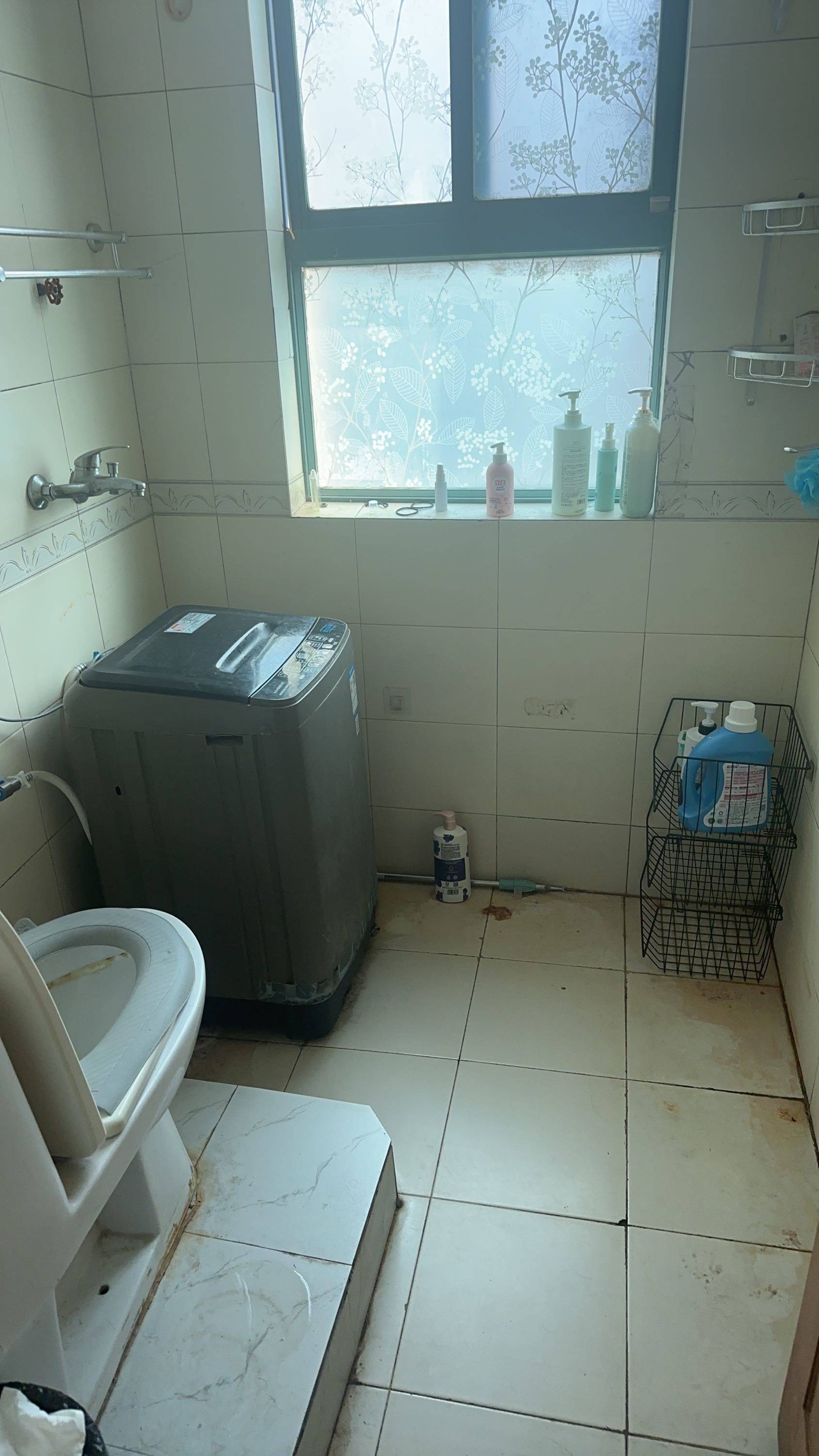 南京-雨花台-温馨小窝,不限性别