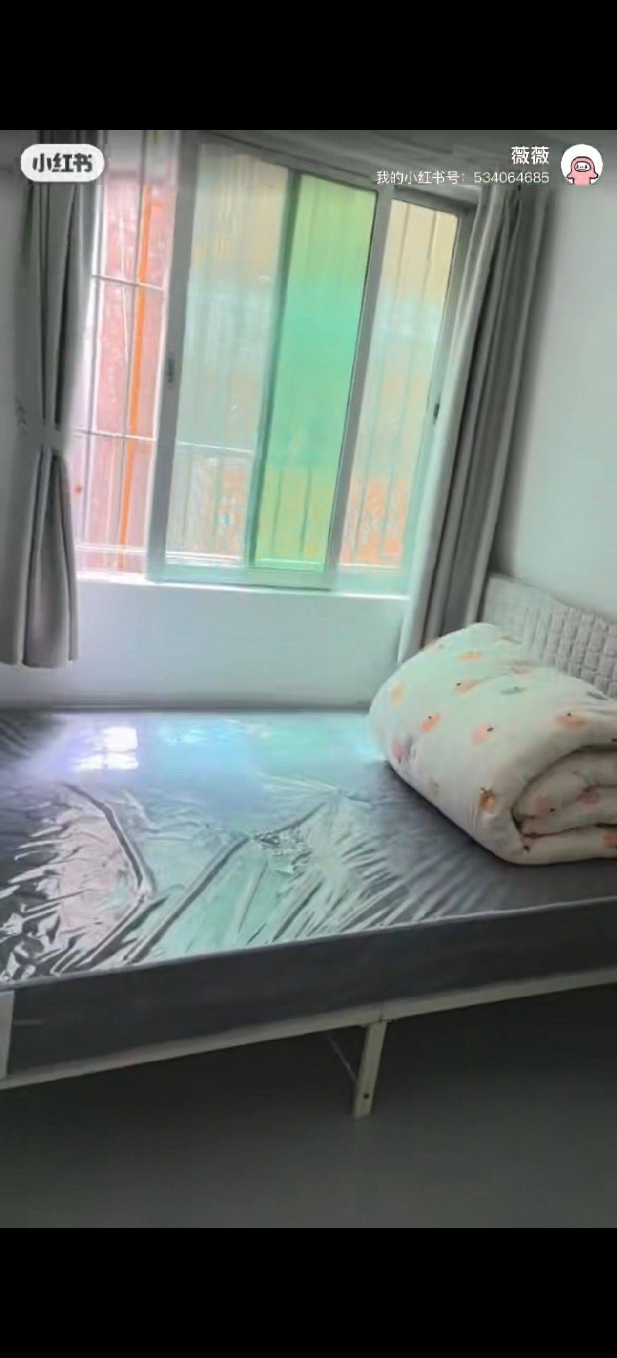 深圳-福田-温馨小窝,干净治愈,宠物友好