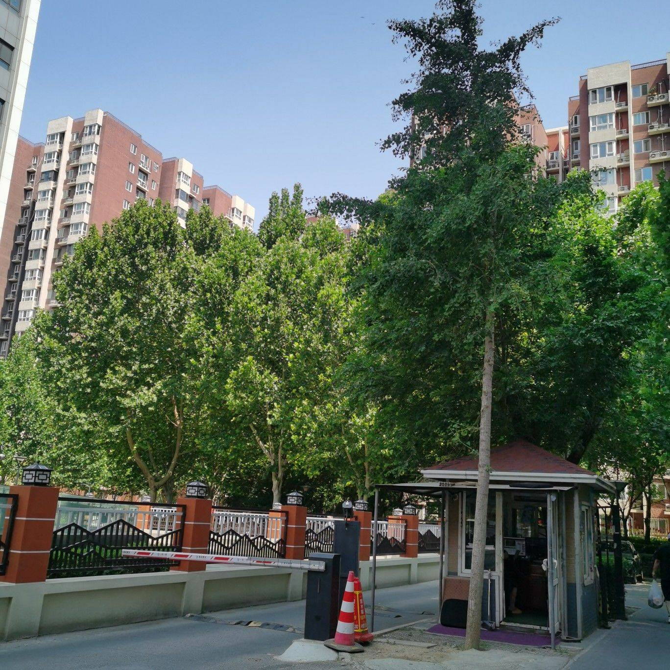 Beijing-Fengtai-地铁公交便利,购物…,Cozy Home,Clean&Comfy,No Gender Limit,Hustle & Bustle