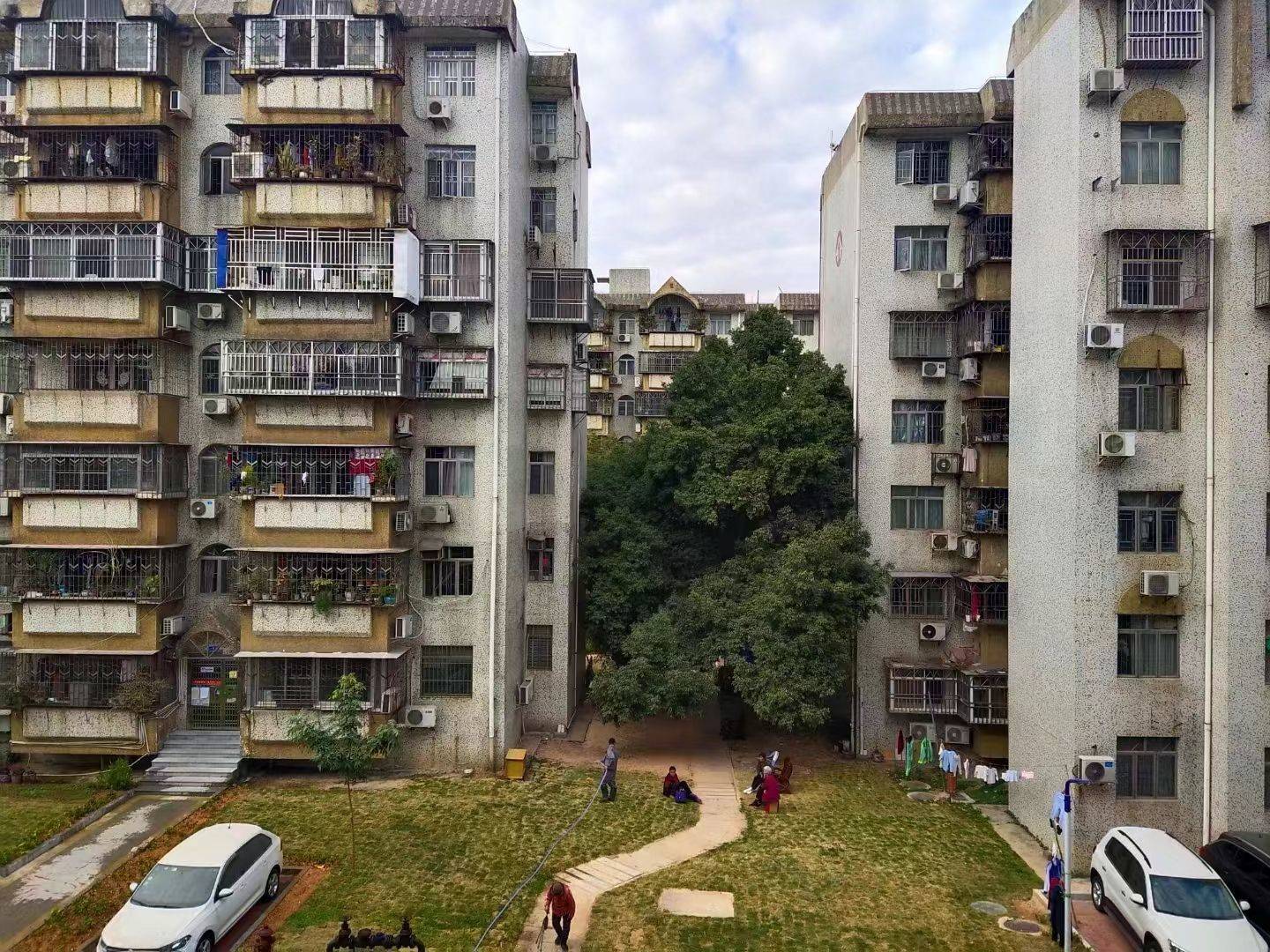 深圳-南山-温馨小窝,干净治愈,市井烟火气