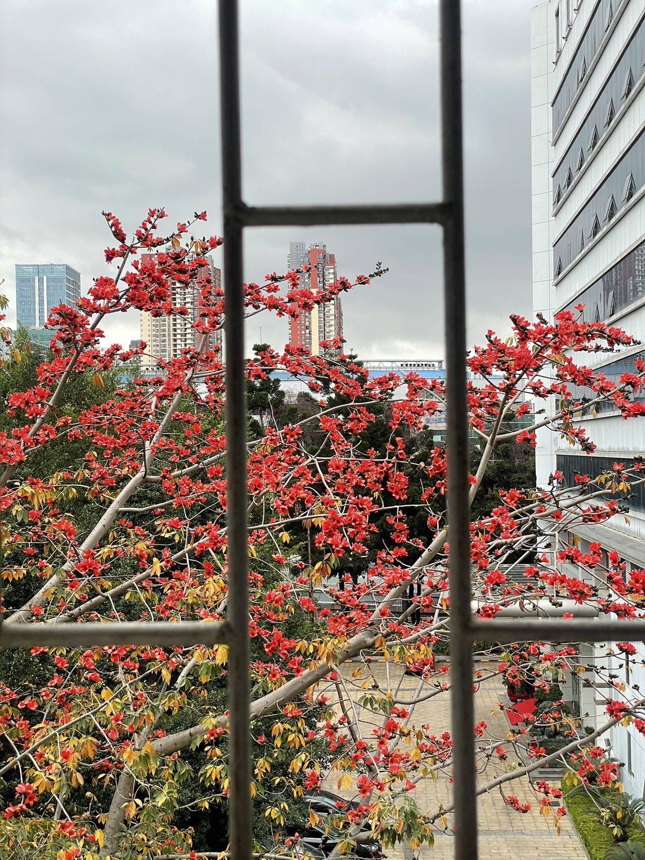 福州 鼓楼区 | 思儿亭路28号小区_6
