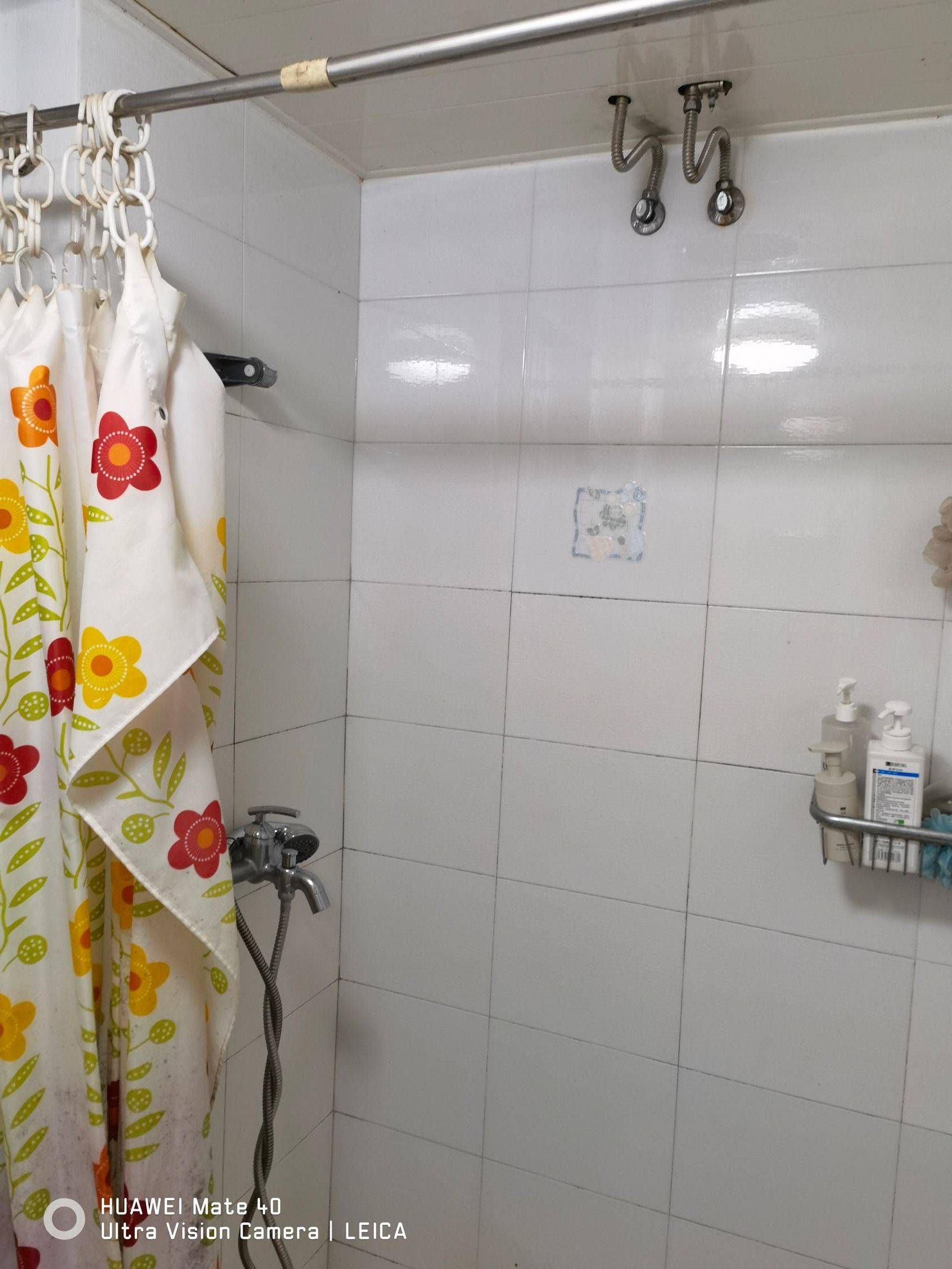 歪歪2023整租房源2