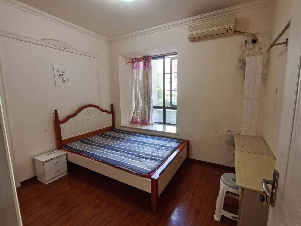 成都-武侯-溫馨小窩,不限性別,市井煙火氣,寵物友好