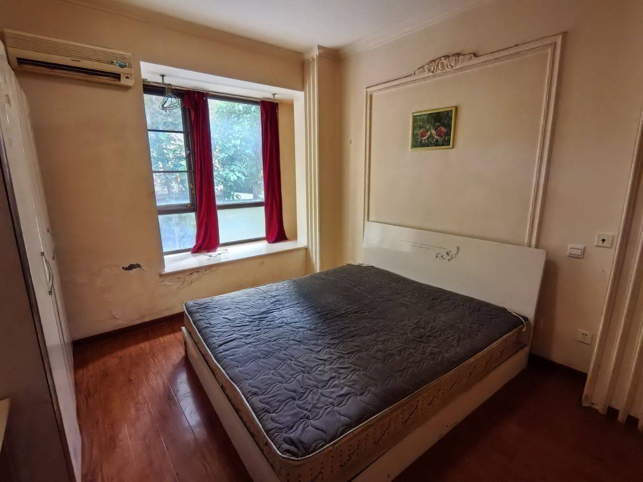 成都-武侯-溫馨小窩,不限性別,市井煙火氣,寵物友好