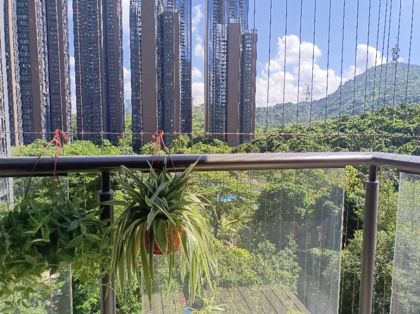 深圳-南山-停车位,充电桩,宠物友好,温馨小窝,干净治愈,不限性别