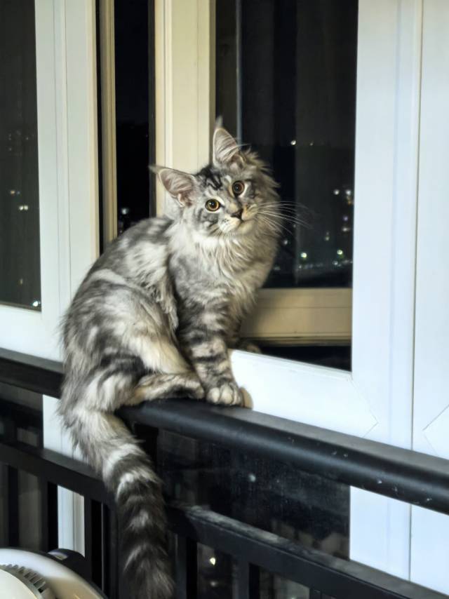 Guiyang-Guanshanhu-Cozy Home,Clean&Comfy,“Friends”,Pet Friendly