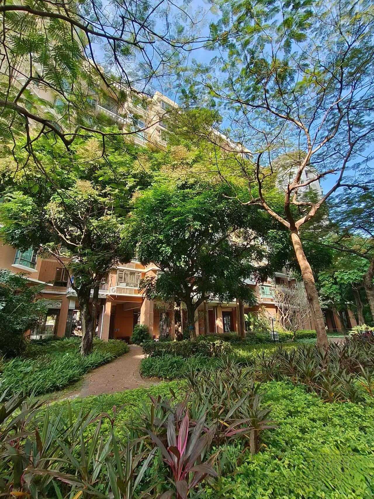 Shenzhen-Nanshan-Cozy Home,Clean&Comfy,No Gender Limit,“Friends”,Chilled