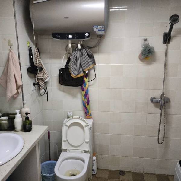 总有刁民想害朕整租房源3