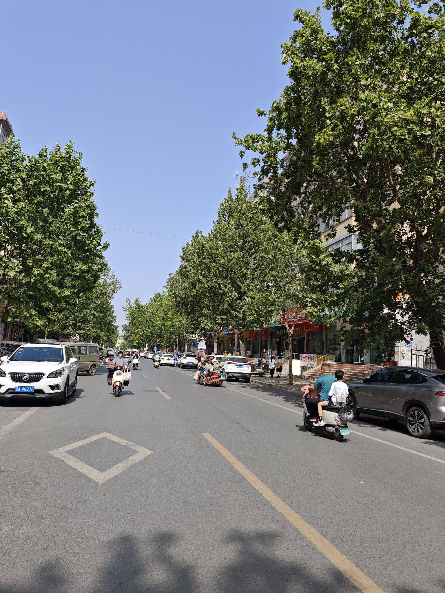 Zhengzhou-Jinshui-金水区,Cozy Home,No Gender Limit