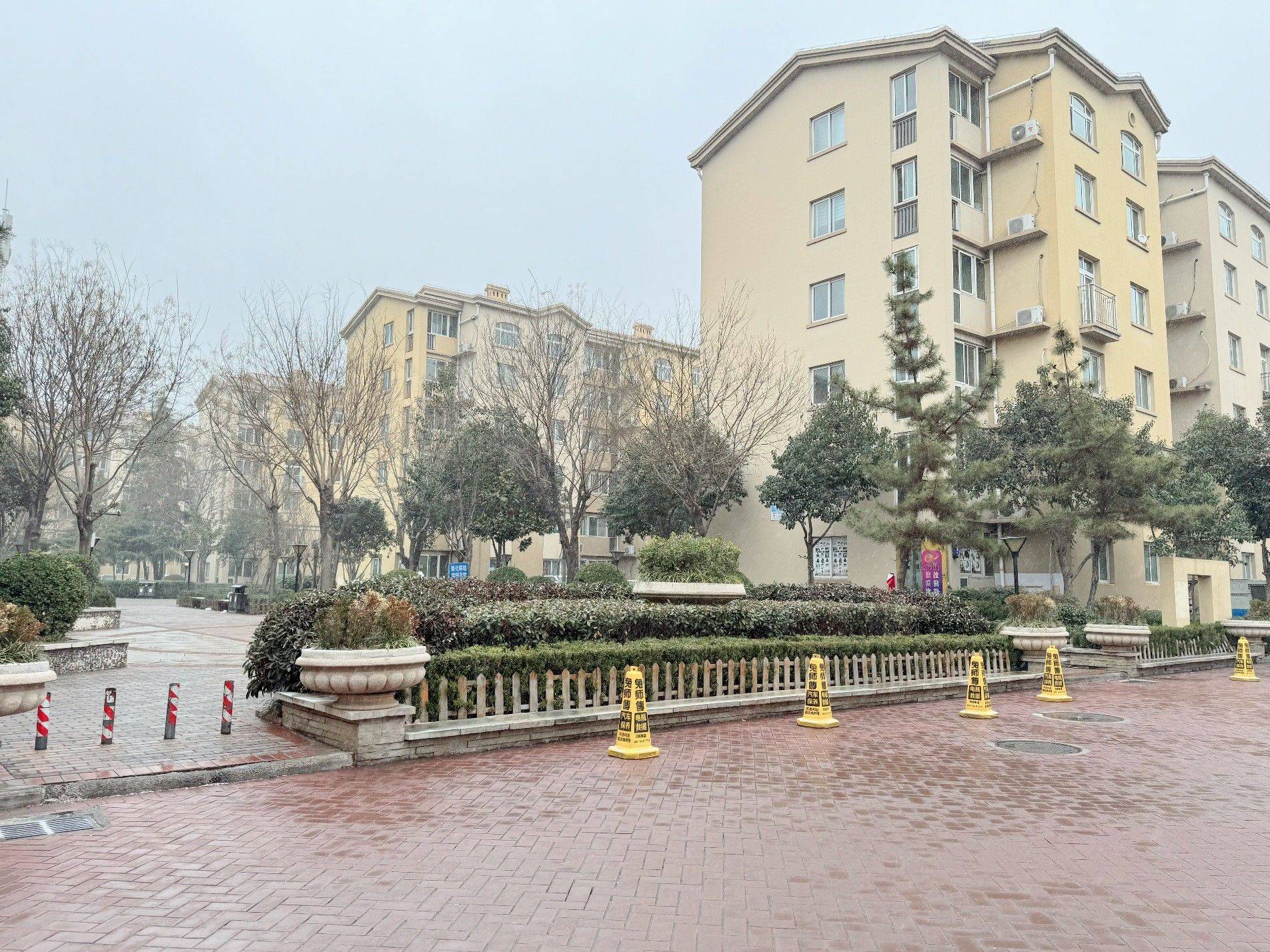 Zhengzhou-Jinshui-Cozy Home,Clean&Comfy,No Gender Limit,Hustle & Bustle,“Friends”,Chilled,LGBTQ Friendly,Pet Friendly