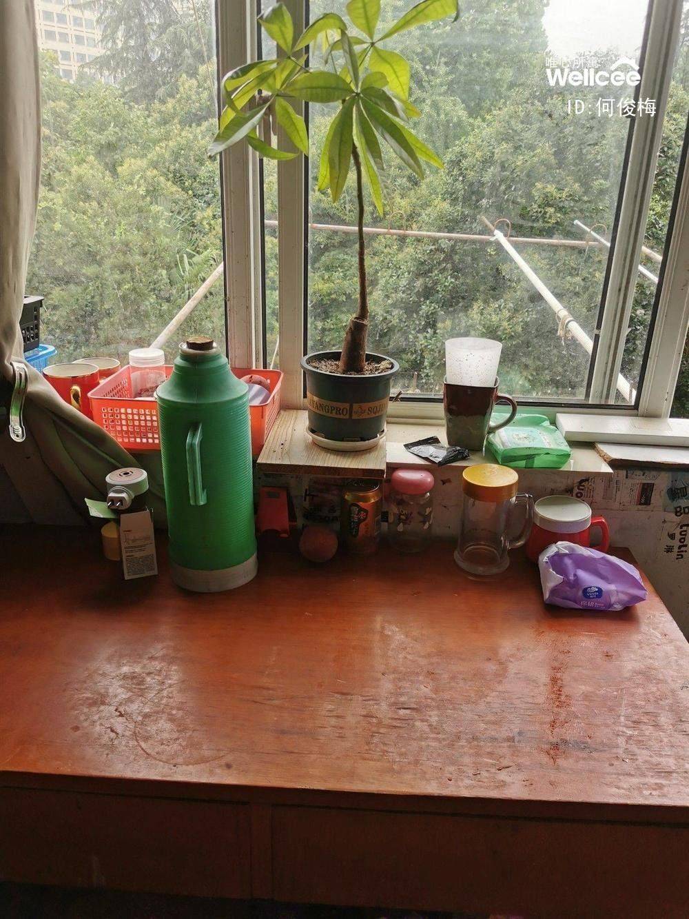 徐汇 虹二小区-7号楼