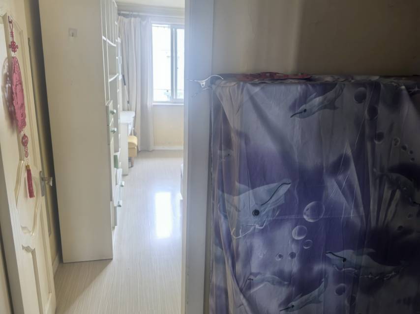 Shanghai-Jing‘An-Cozy Home,Clean&Comfy