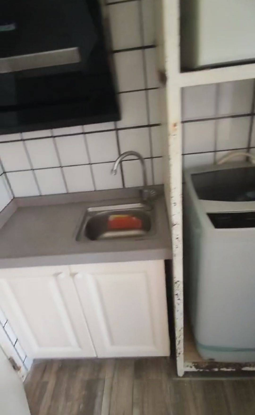 深圳-宝安-干净治愈,宠物友好