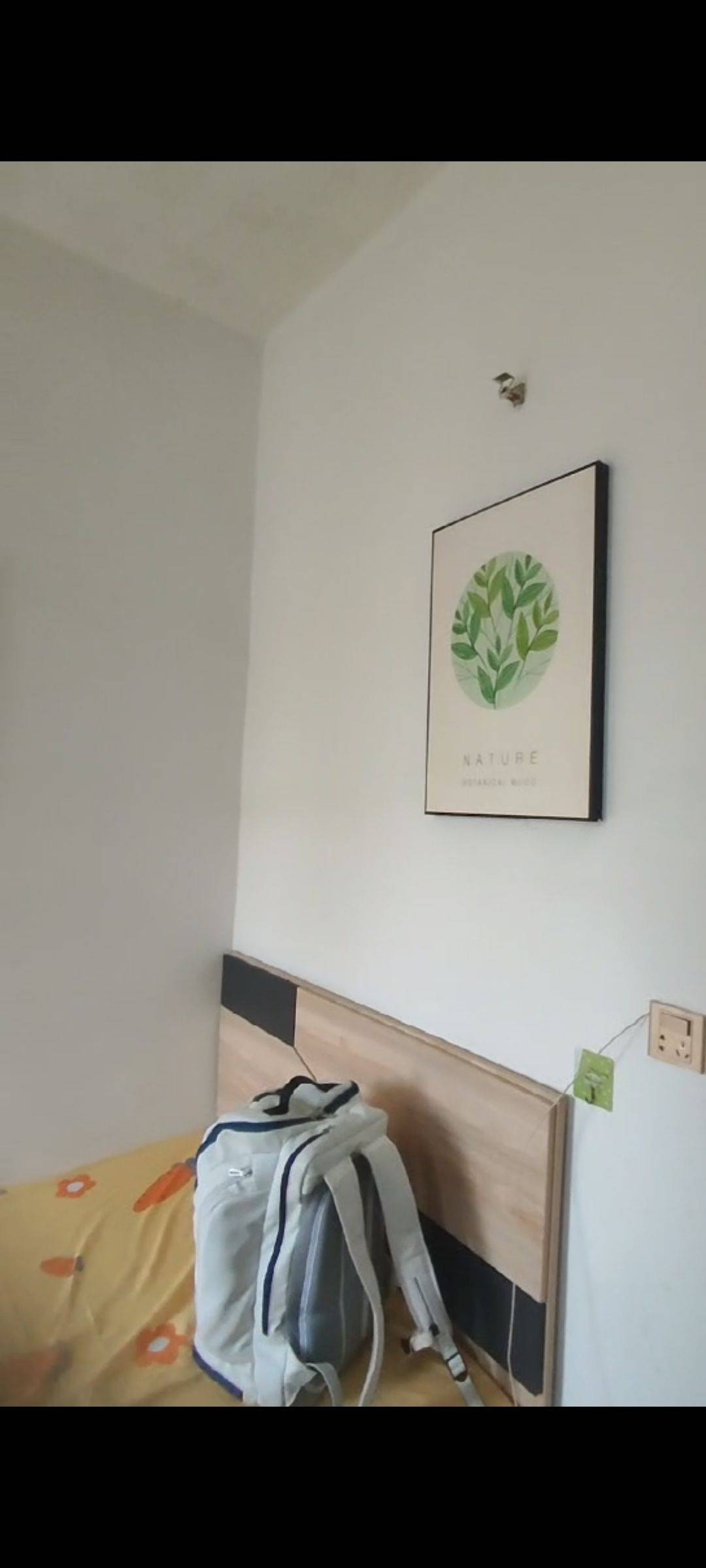 深圳-寶安-溫馨小窩,乾淨治愈