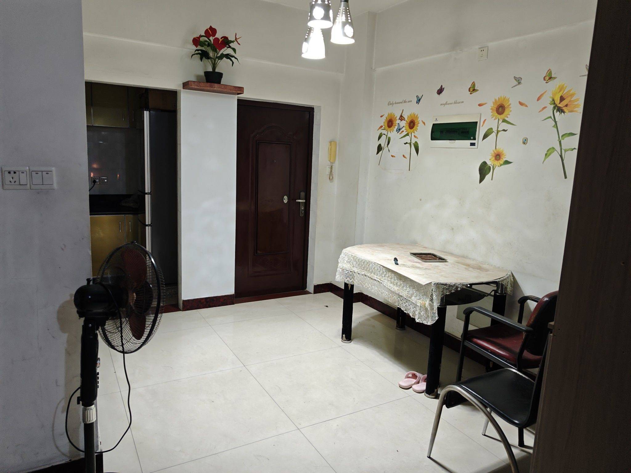 逍遥子整租房源1