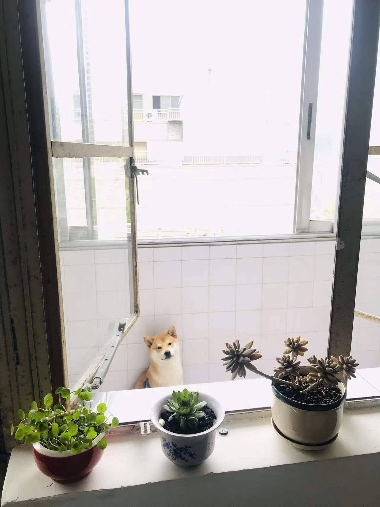 笨笨整租房源3