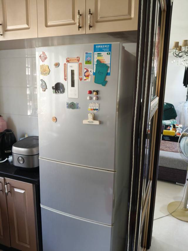 Wenzhou-Lucheng-No Gender Limit