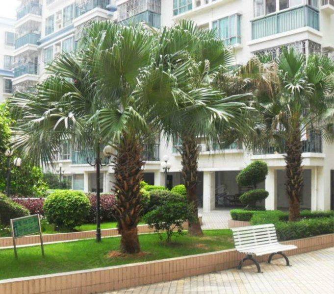 Shenzhen-Nanshan-Cozy Home,Clean&Comfy,No Gender Limit,Chilled