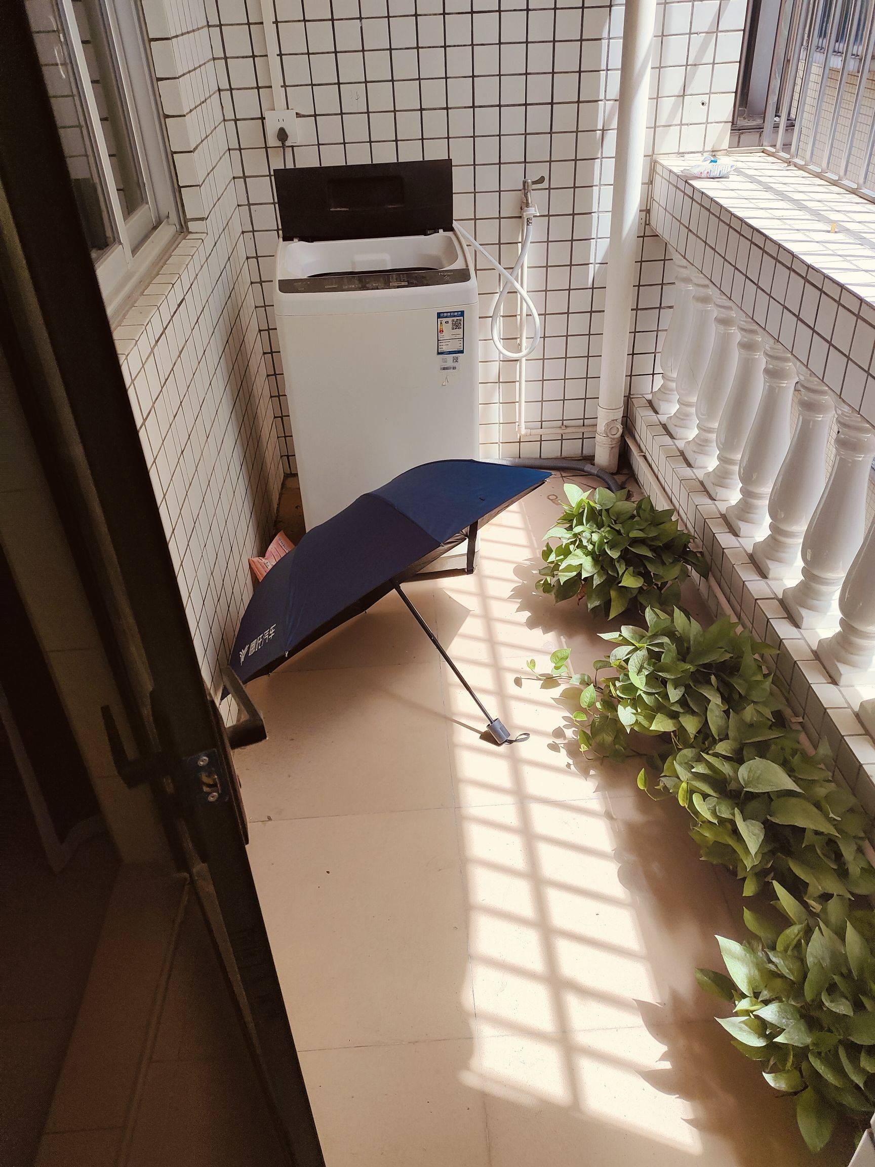 Shenzhen-Longhua-Cozy Home