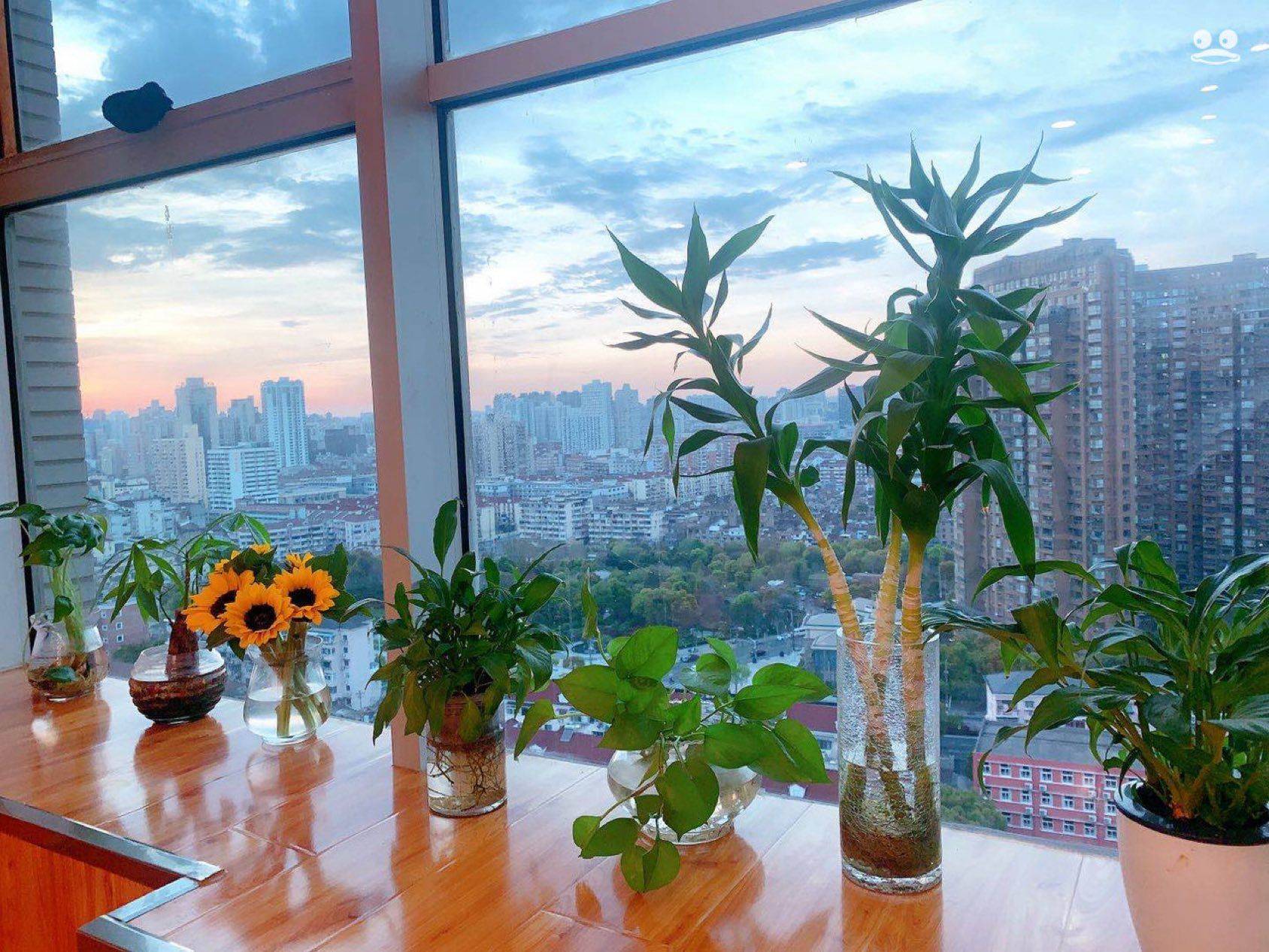 Shanghai-Jing‘An-Cozy Home,Clean&Comfy,No Gender Limit