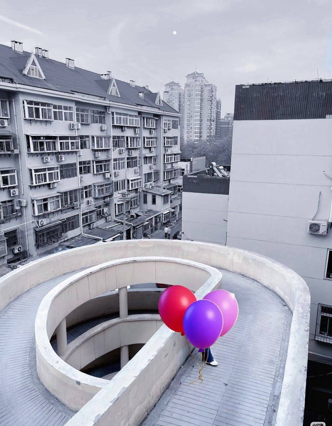 南辛大脸猫整租房源2