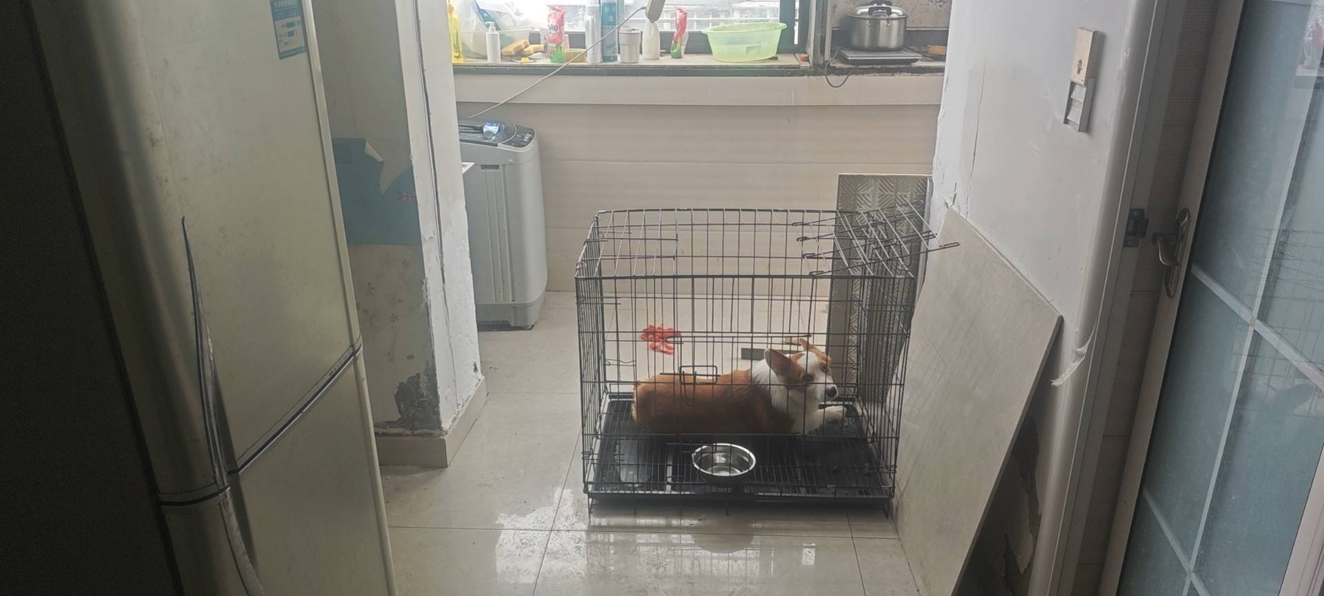 陈平安整租房源2