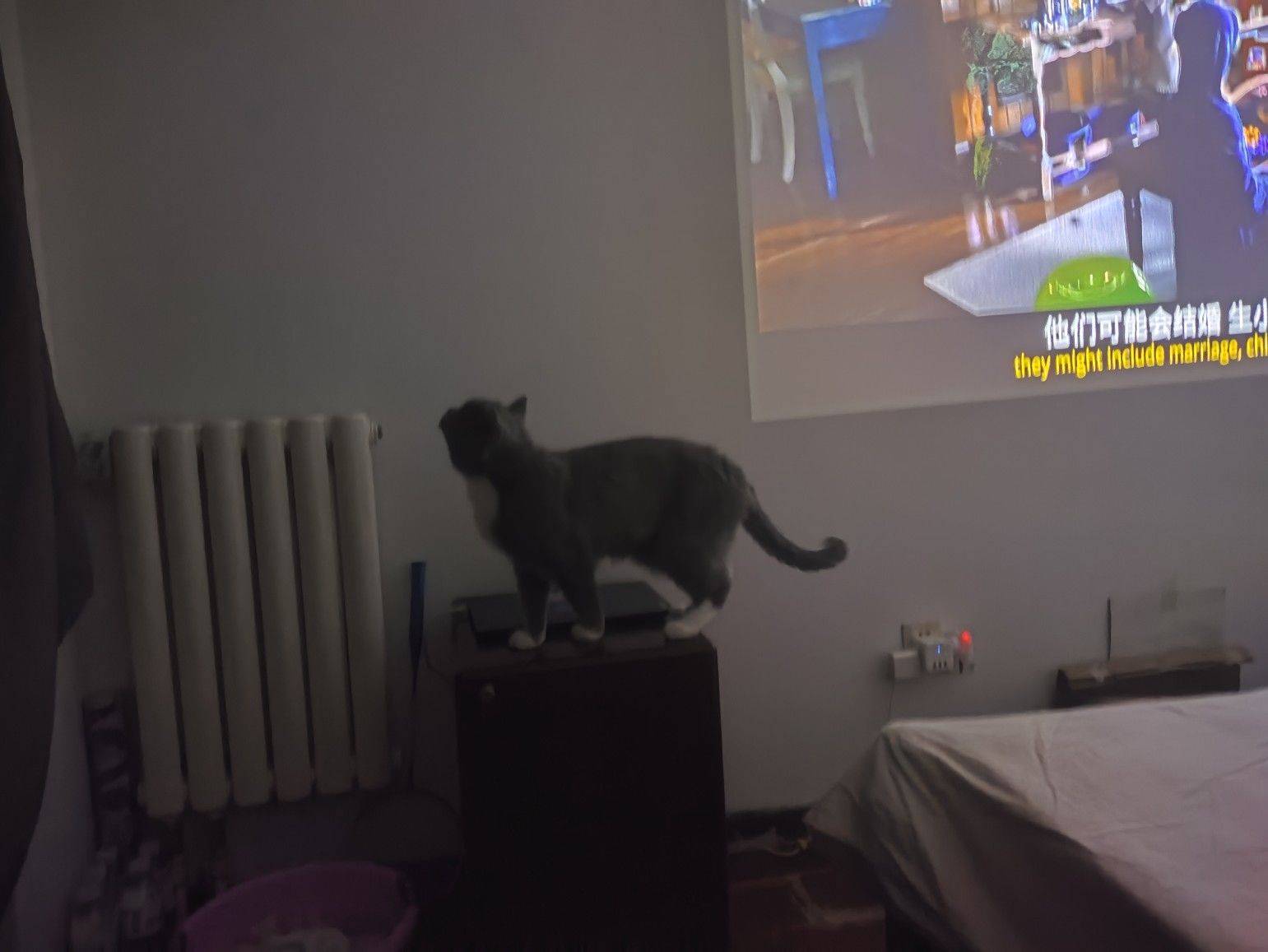 Beijing-Chaoyang-Cozy Home,Clean&Comfy,Chilled,Pet Friendly