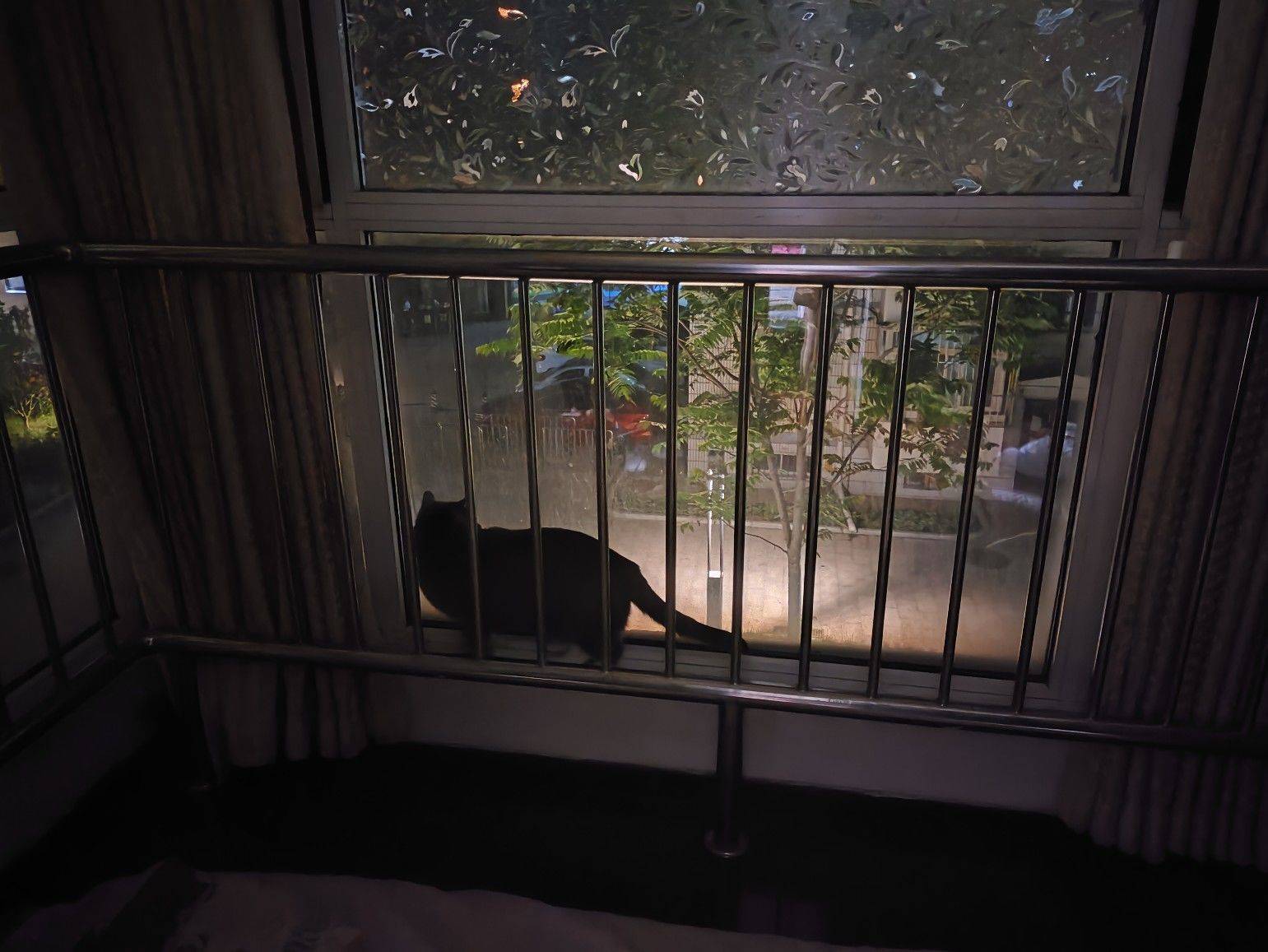 Beijing-Chaoyang-Cozy Home,Clean&Comfy,No Gender Limit,Hustle & Bustle,“Friends”,Chilled