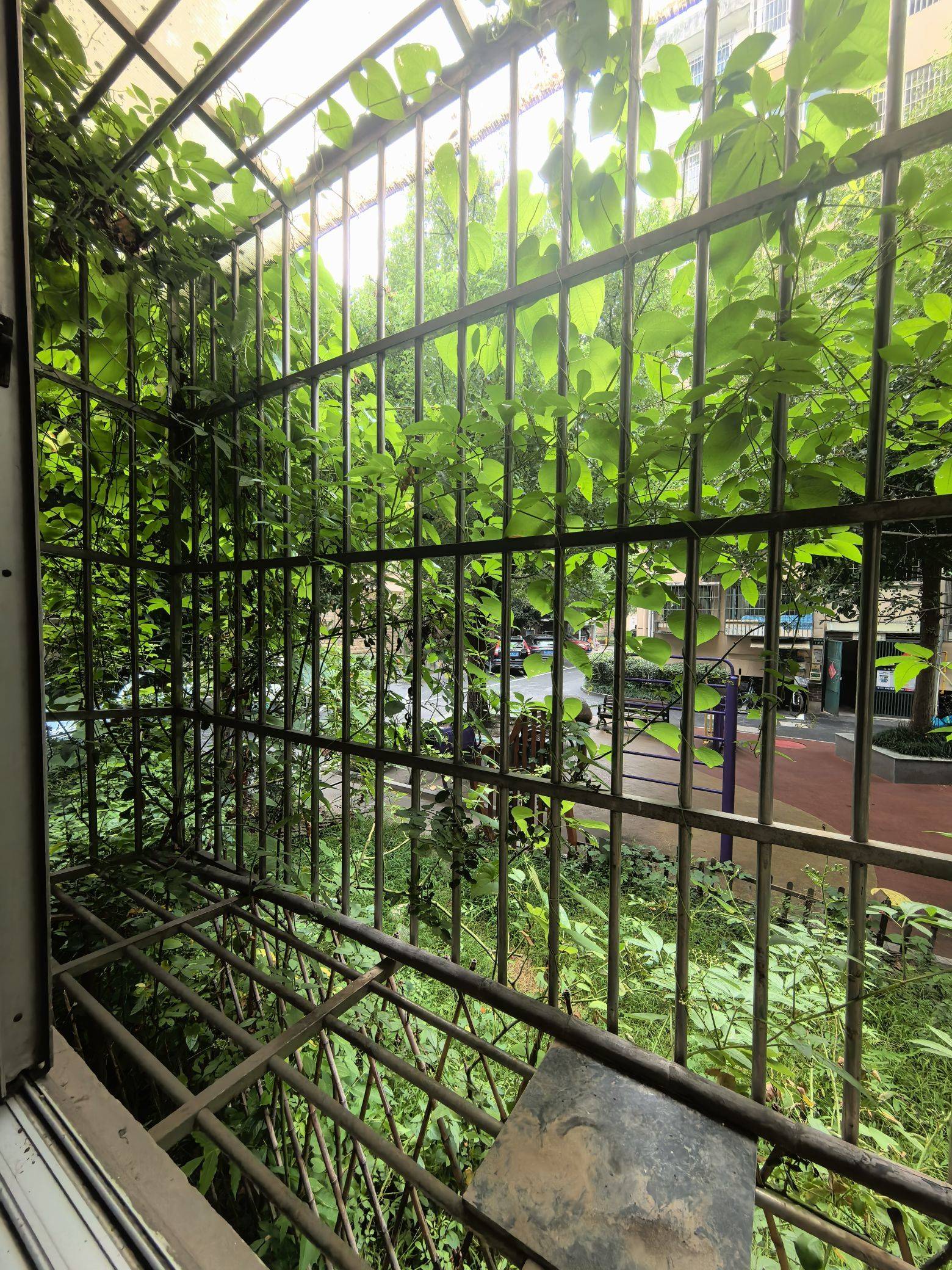 杭州 西湖 | 师苑新村_4