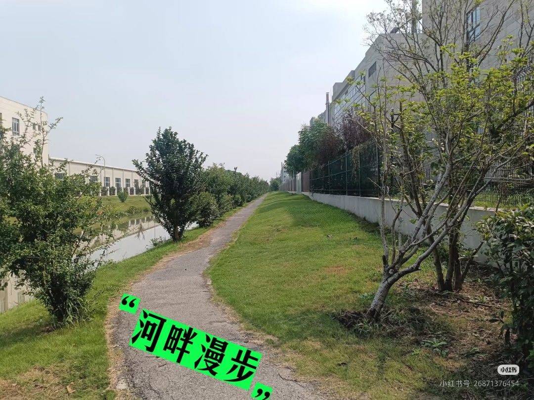 Shanghai-Baoshan-Cozy Home,Clean&Comfy,No Gender Limit,Hustle & Bustle,“Friends”,Chilled,LGBTQ Friendly,Pet Friendly