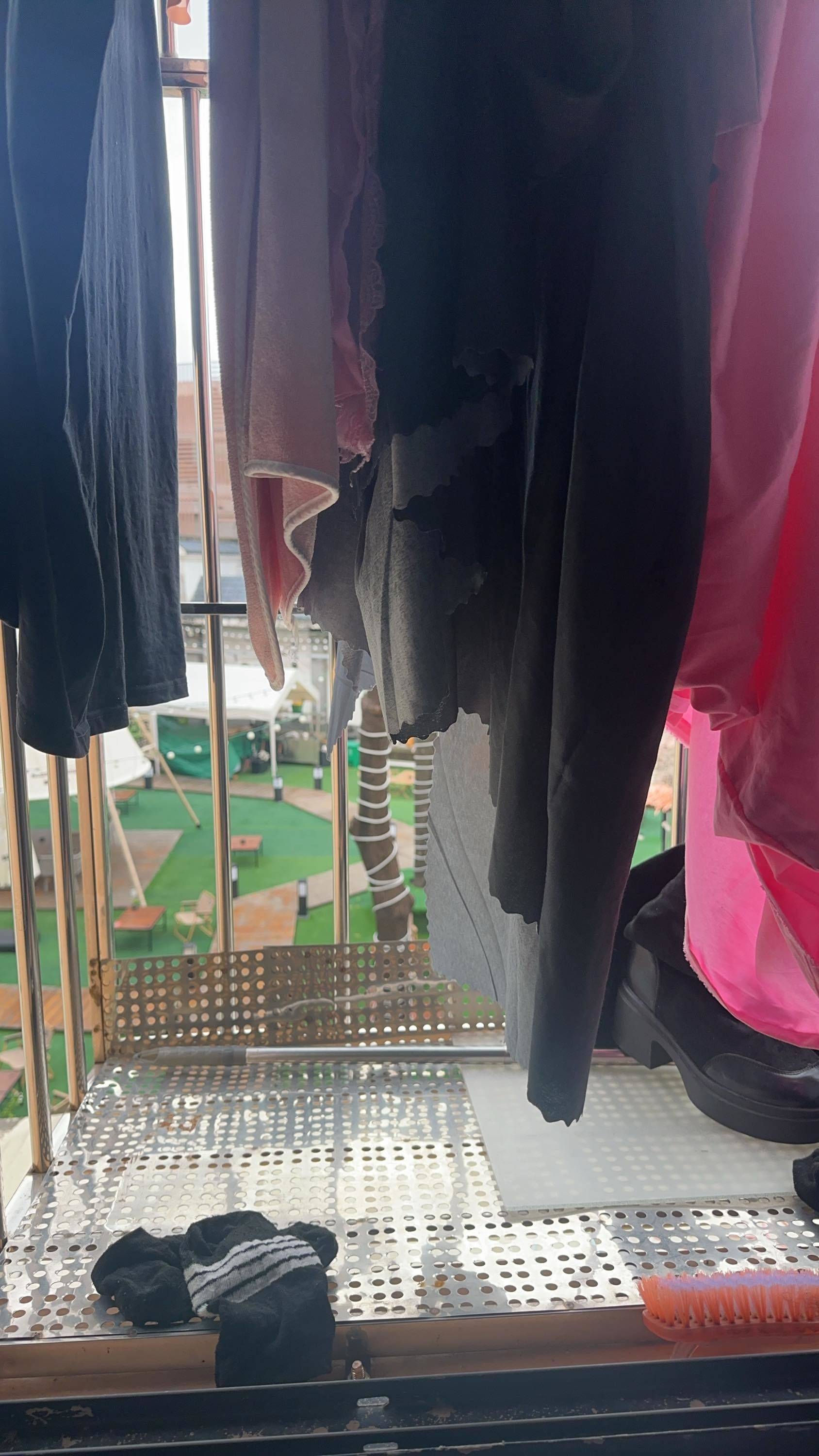 深圳-龍崗-溫馨小窩,乾淨治愈,不限性別,寵物友好