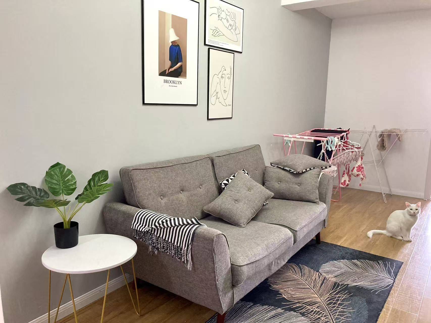 Shanghai-Jing‘An-Cozy Home,Clean&Comfy,No Gender Limit,“Friends”,LGBTQ Friendly,Pet Friendly