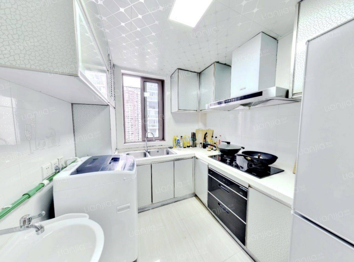 Shanghai-Songjiang-LGBTQ Friendly,Pet Friendly