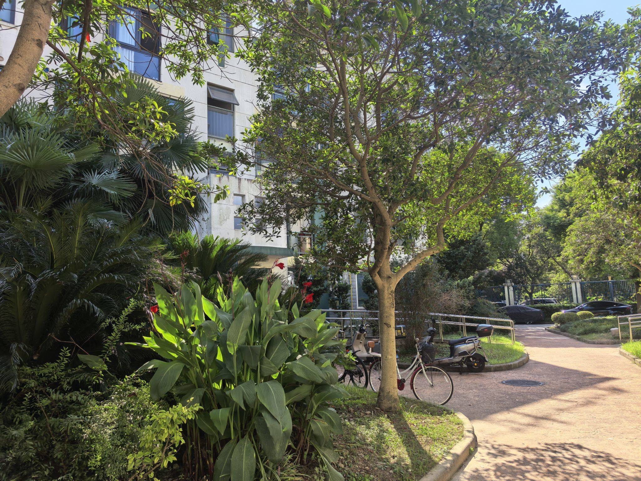 上海-浦東-乾淨治愈