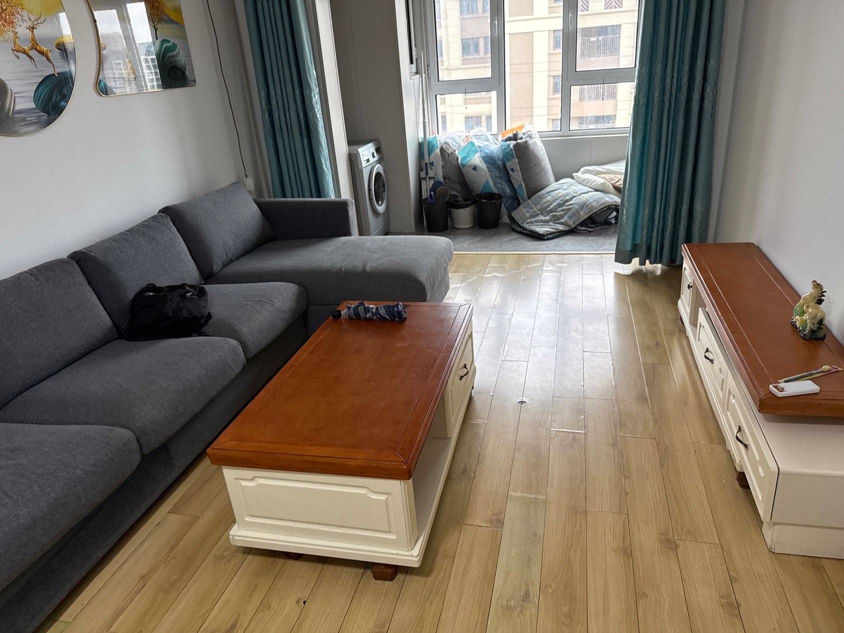 天津 滨海新 | 春风海上_3