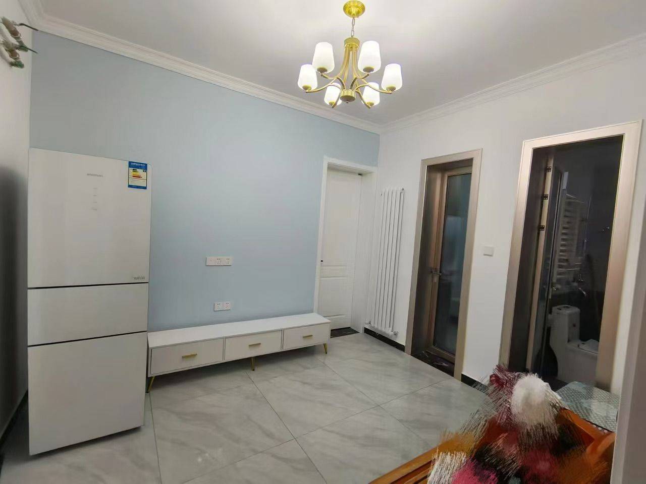 梦里啥都有整租房源1