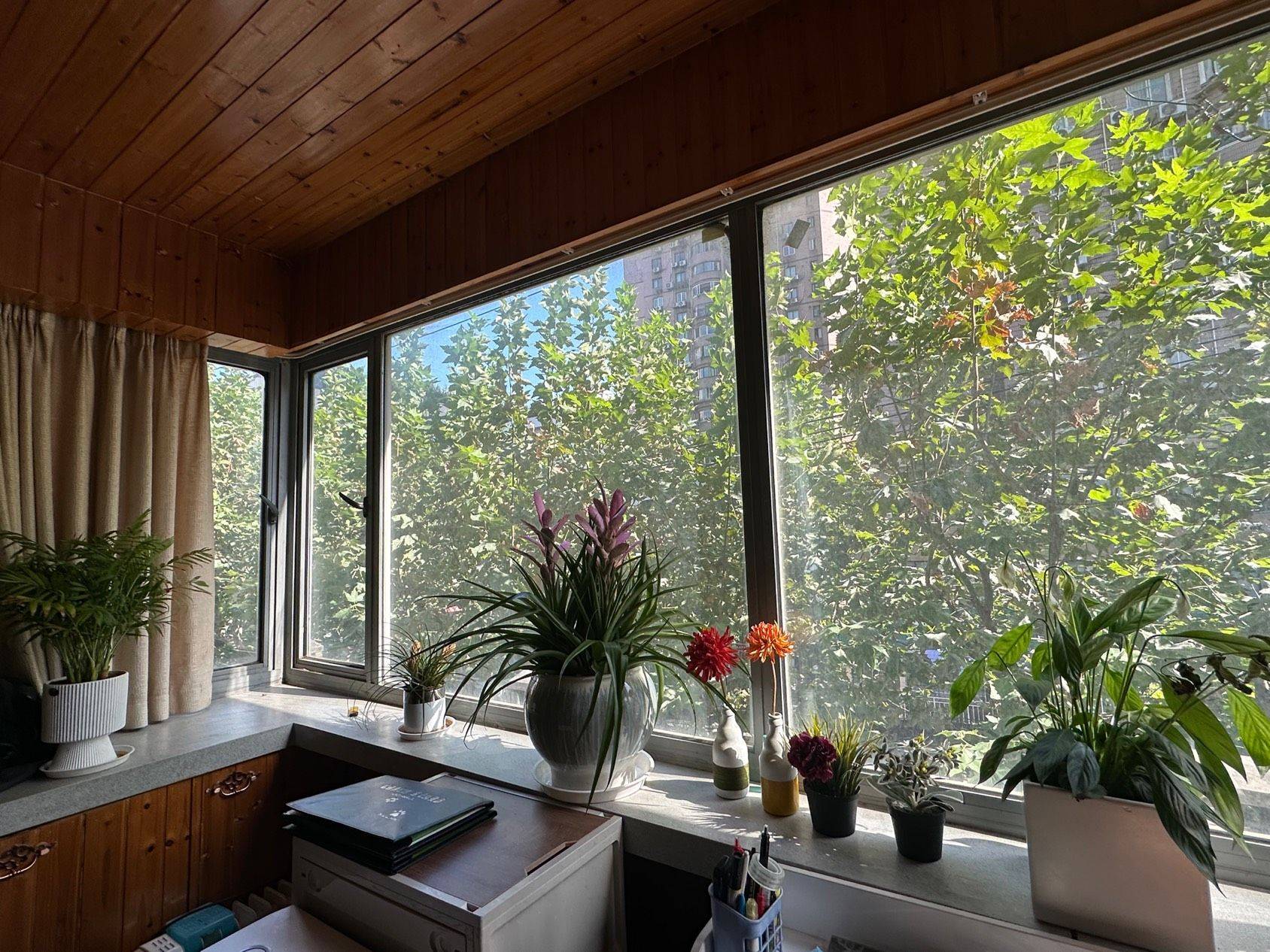 Shanghai-Jing‘An-Cozy Home,Clean&Comfy,No Gender Limit,Chilled,LGBTQ Friendly