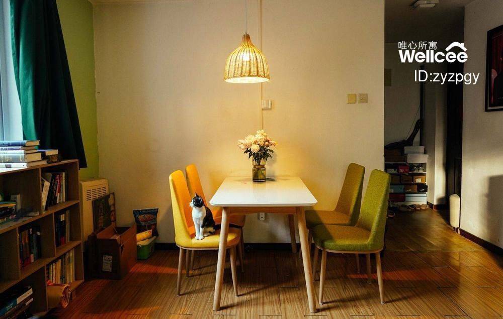 Beijing-Chaoyang-Single Apartment,LGBTQ Friendly,Sublet,Short Term