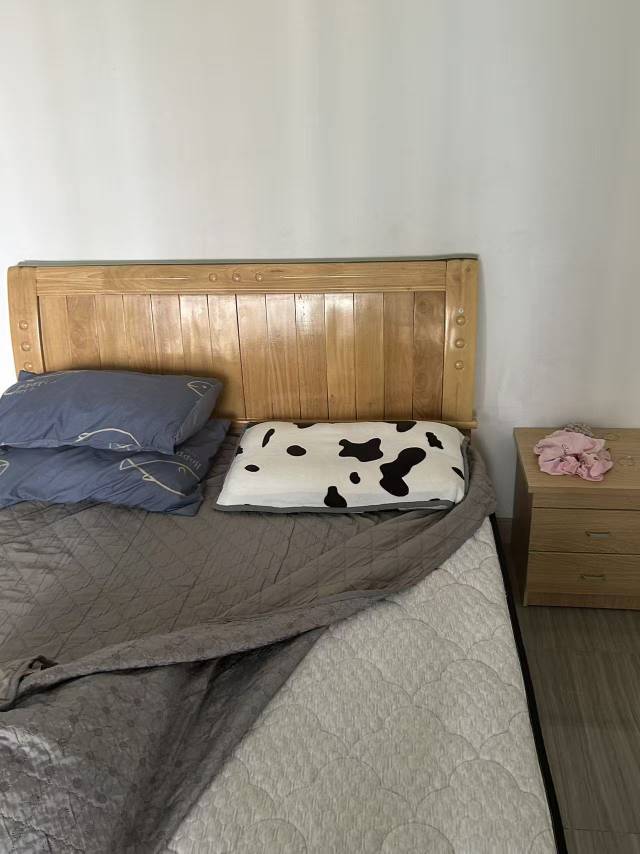 Xiamen-Xiang'An-Cozy Home,Clean&Comfy,Pet Friendly