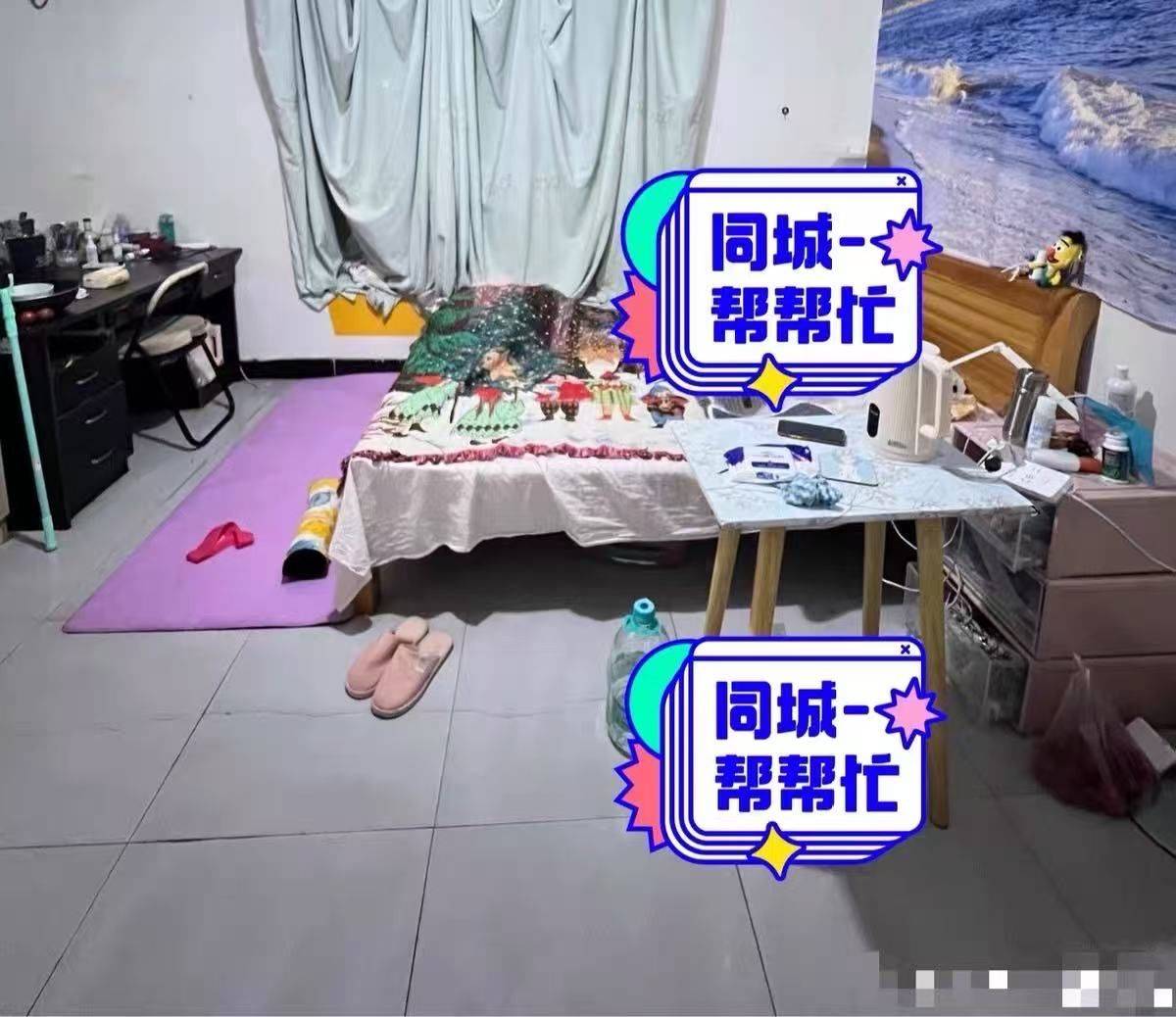 成都-雙流-溫馨小窩,乾淨治愈,不限性別,寵物友好