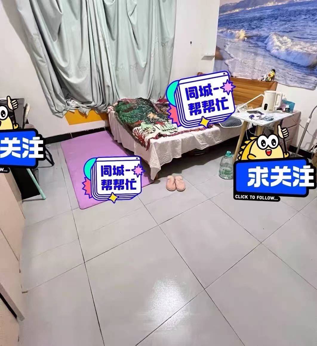 成都-雙流-溫馨小窩,乾淨治愈,不限性別,寵物友好