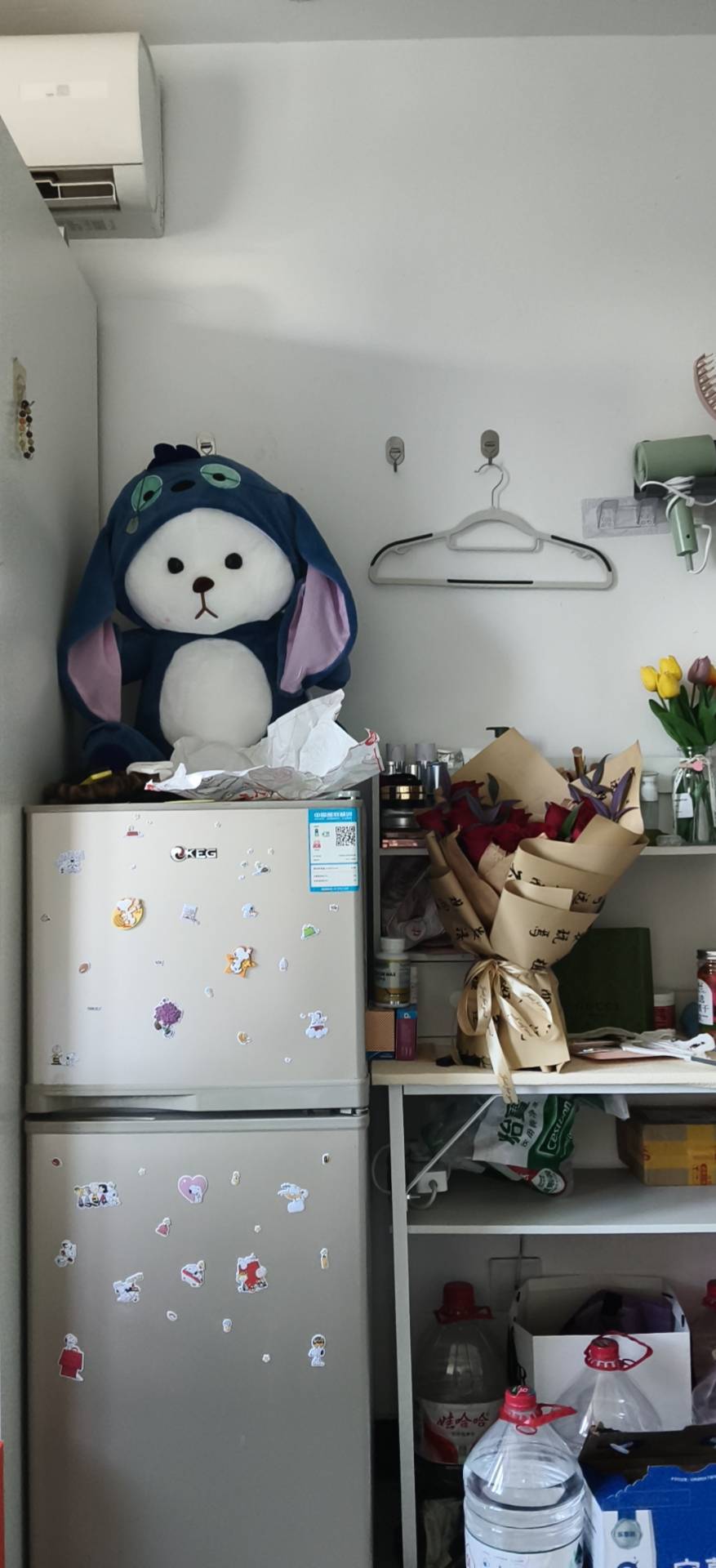 Shanghai-Pudong-Cozy Home,Clean&Comfy,No Gender Limit,Hustle & Bustle,Pet Friendly