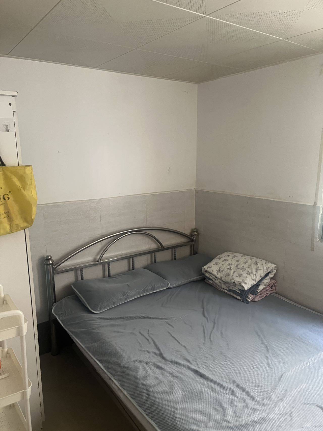 深圳-宝安-温馨小窝,干净治愈,不限性别,市井烟火气,宠物友好